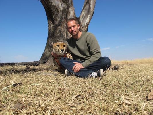 Paul Walker pic #426184