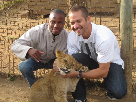 Paul Walker pic #426185