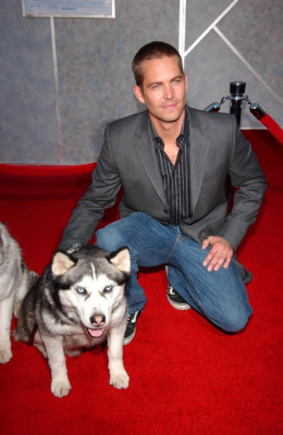 Paul Walker pic #46886
