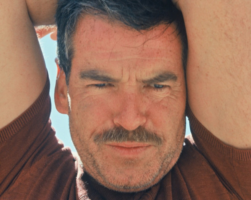 Pierce Brosnan pic #54432