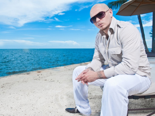 Pitbull pic #396637