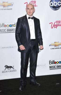 Pitbull pic #396634