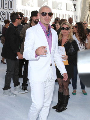 Pitbull pic #396635