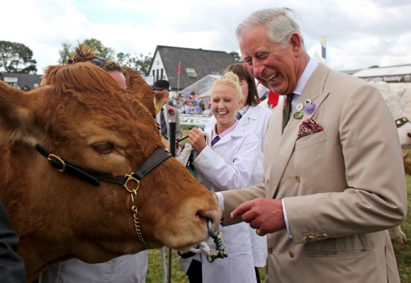 Prince Charles  pic #622877