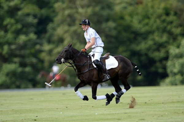 Prince Harry of Wales pic #626878