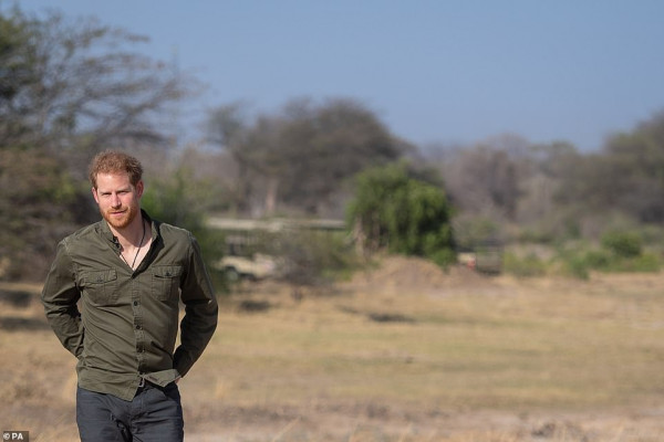Prince Harry of Wales pic #1180280