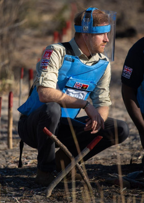 Prince Harry of Wales pic #1180841