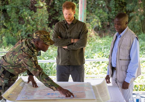 Prince Harry of Wales pic #1180264