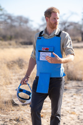 Prince Harry of Wales pic #1180842
