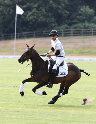Prince Harry of Wales pic #1049167