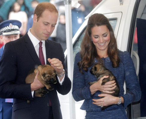 Prince William pic #691628