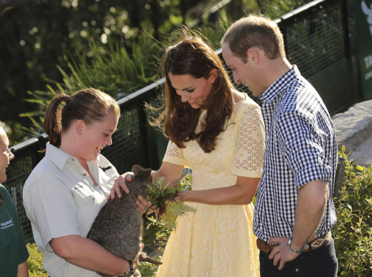 Prince William pic #692345