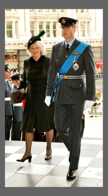 Prince William pic #377124