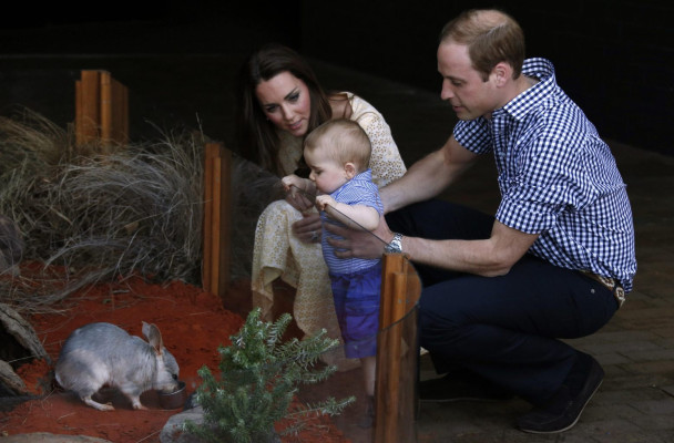 Prince William pic #692187