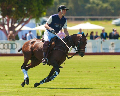 Prince William pic #392172