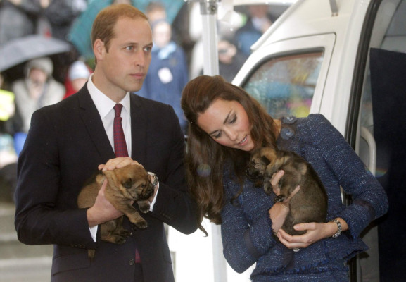 Prince William pic #691610