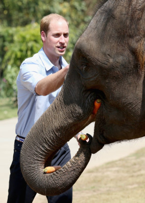 Prince William pic #777874