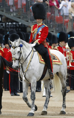 Prince William pic #715909