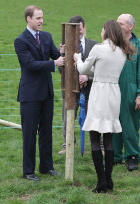 Prince William pic #551994