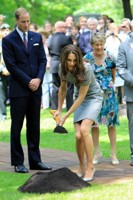 Prince William pic #392429