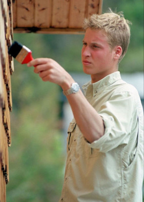 Prince William pic #551996