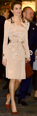 Queen Letizia of Spain pic #683015