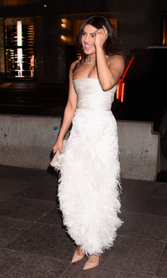 Priyanka Chopra pic #1078281