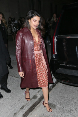 Priyanka Chopra pic #1007270
