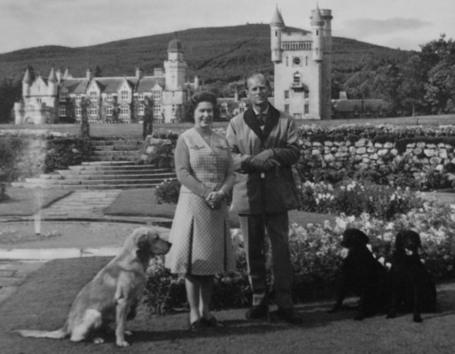 Queen Elizabeth ll  pic #495712