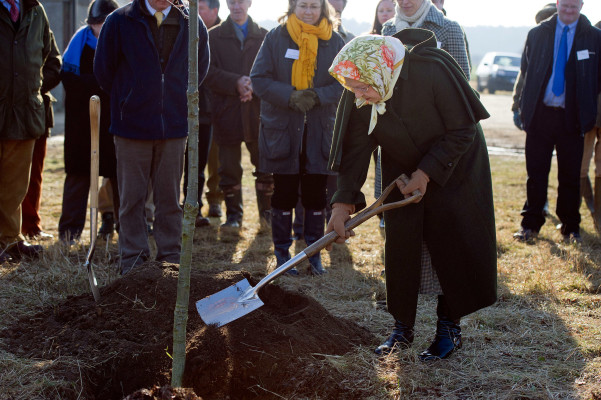 Queen Elizabeth ll  pic #708881