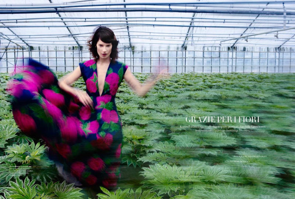 Querelle Jansen pic #1188950