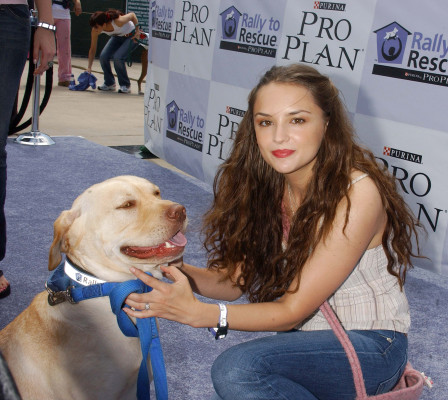 Rachael Leigh Cook pic #70047