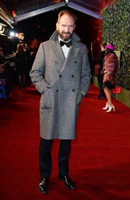 Ralph Fiennes pic #818156