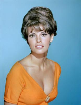Raquel Welch pic #363986