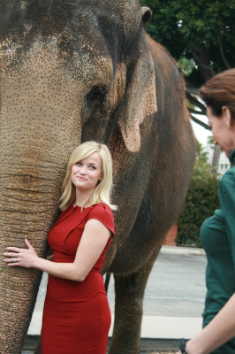 Reese Witherspoon pic #369482