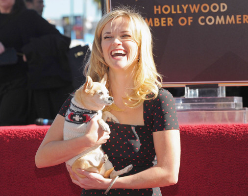 Reese Witherspoon pic #313302