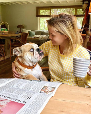 Reese Witherspoon pic #1235539