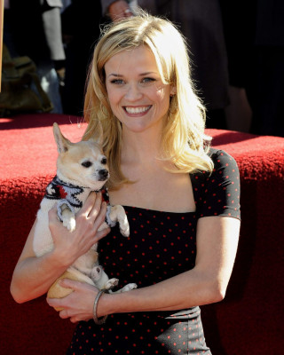 Reese Witherspoon pic #312155
