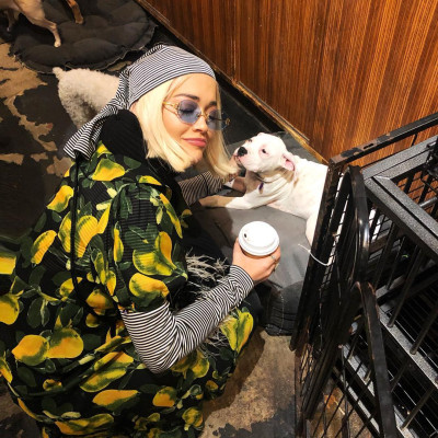 photo 12 in Rita Ora gallery [id1089901] 2018-12-20 00:00:00