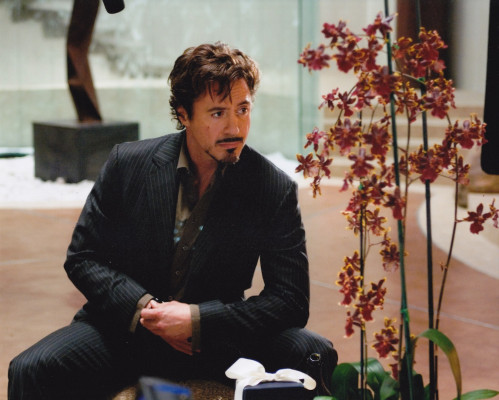 Robert Downey Jr. pic #1190288