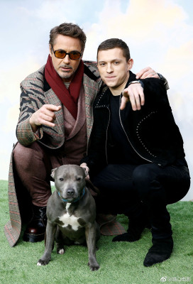 Robert Downey Jr. pic #1201077