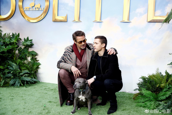 Robert Downey Jr. pic #1201074