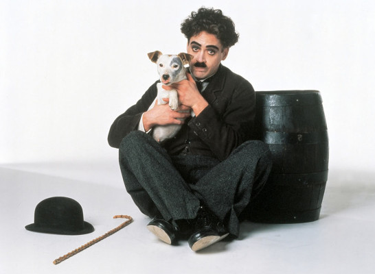 Robert Downey Jr. pic #239333