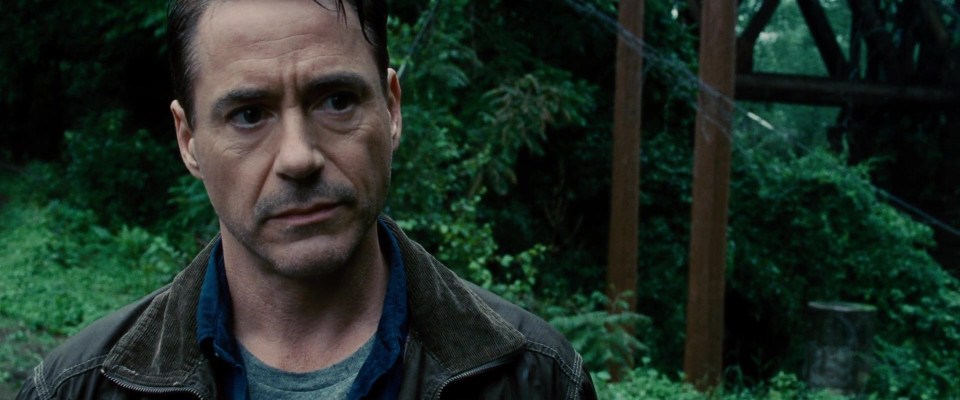 Robert Downey Jr. pic #1232316