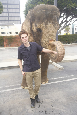 Robert Pattinson pic #366280