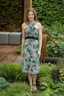 Rosamund Pike pic #854761
