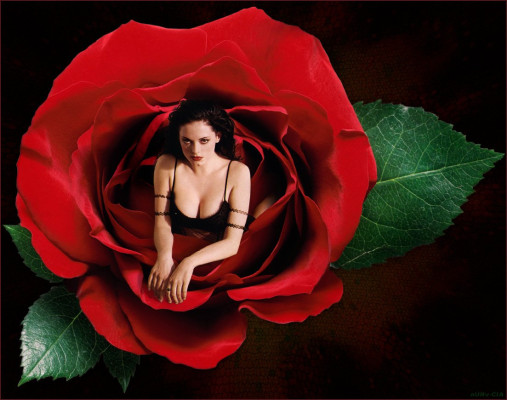 Rose McGowan pic #33788