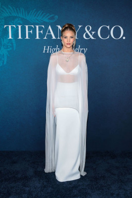 Rosie Huntington-Whitely pic #1374282