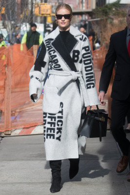 Rosie Huntington-Whitely pic #1129959
