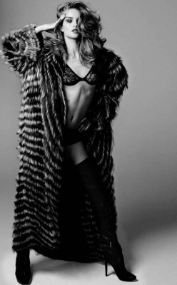 Rosie Huntington-Whitely pic #319593